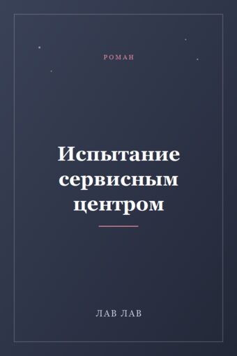 Обложка книги «Испытание сервисным центром»